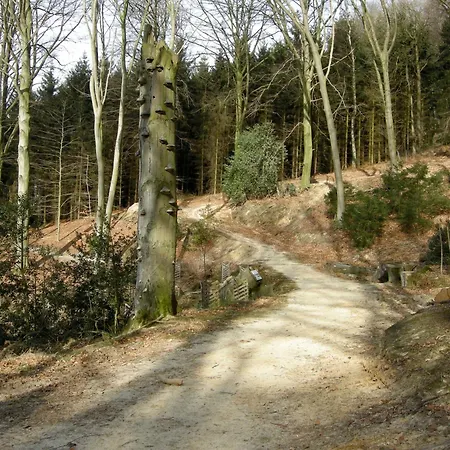 Auf Dem Golfplatz Tecklenburger Land Tecklenburg