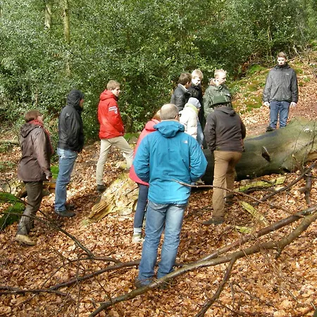 Auf Dem Golfplatz Tecklenburger Land Tecklenburg