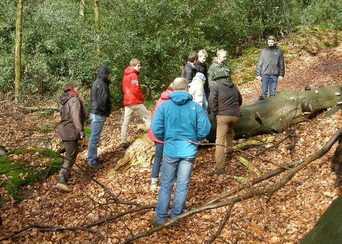 Auf Dem Golfplatz Tecklenburger Land Tecklenburg